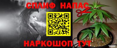 PSILOCYBIN Бузулук