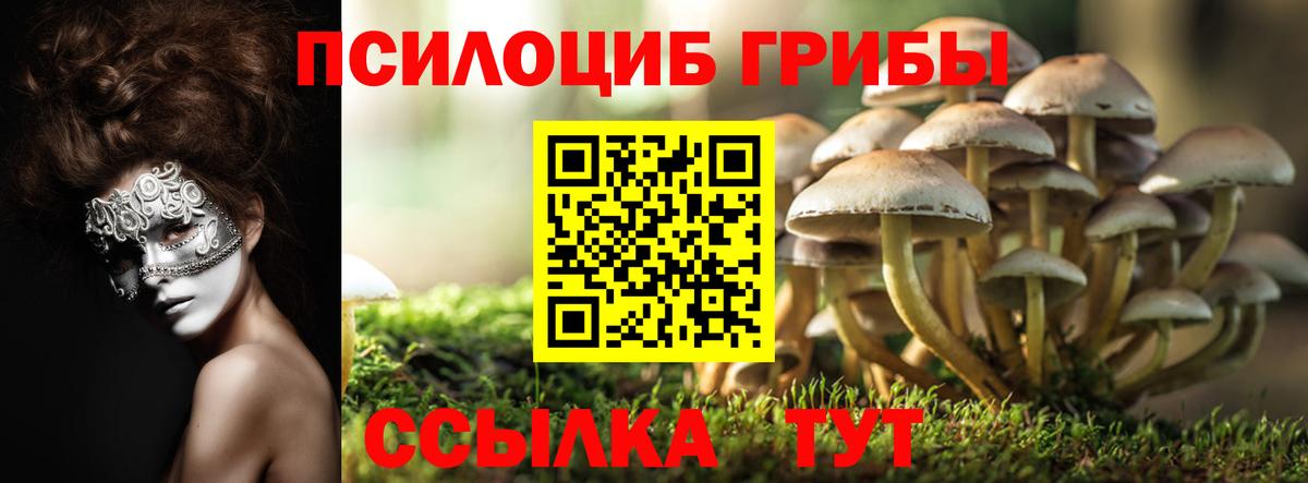 Назрань  Галлюциногенные грибы ЛСД  Вход с VPN 